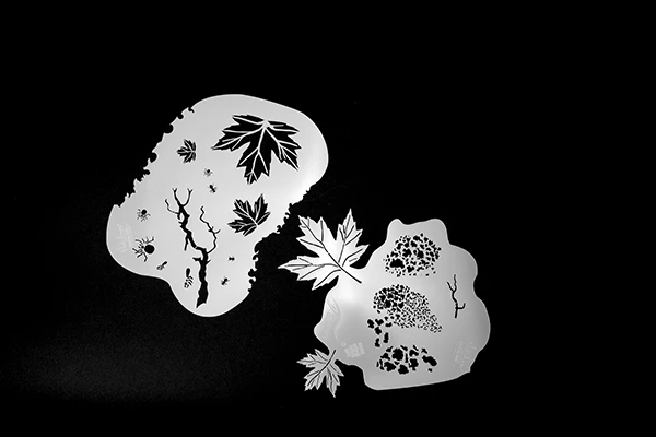 INFIL Stencil - Sugar Maple Leaf (two Pack) 1 INFIL Stencil - Sugar Maple Leaf (two Pack)