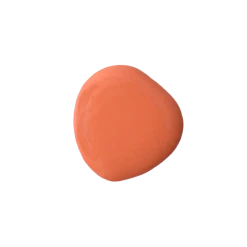 Salmon Milk Paint - Quart